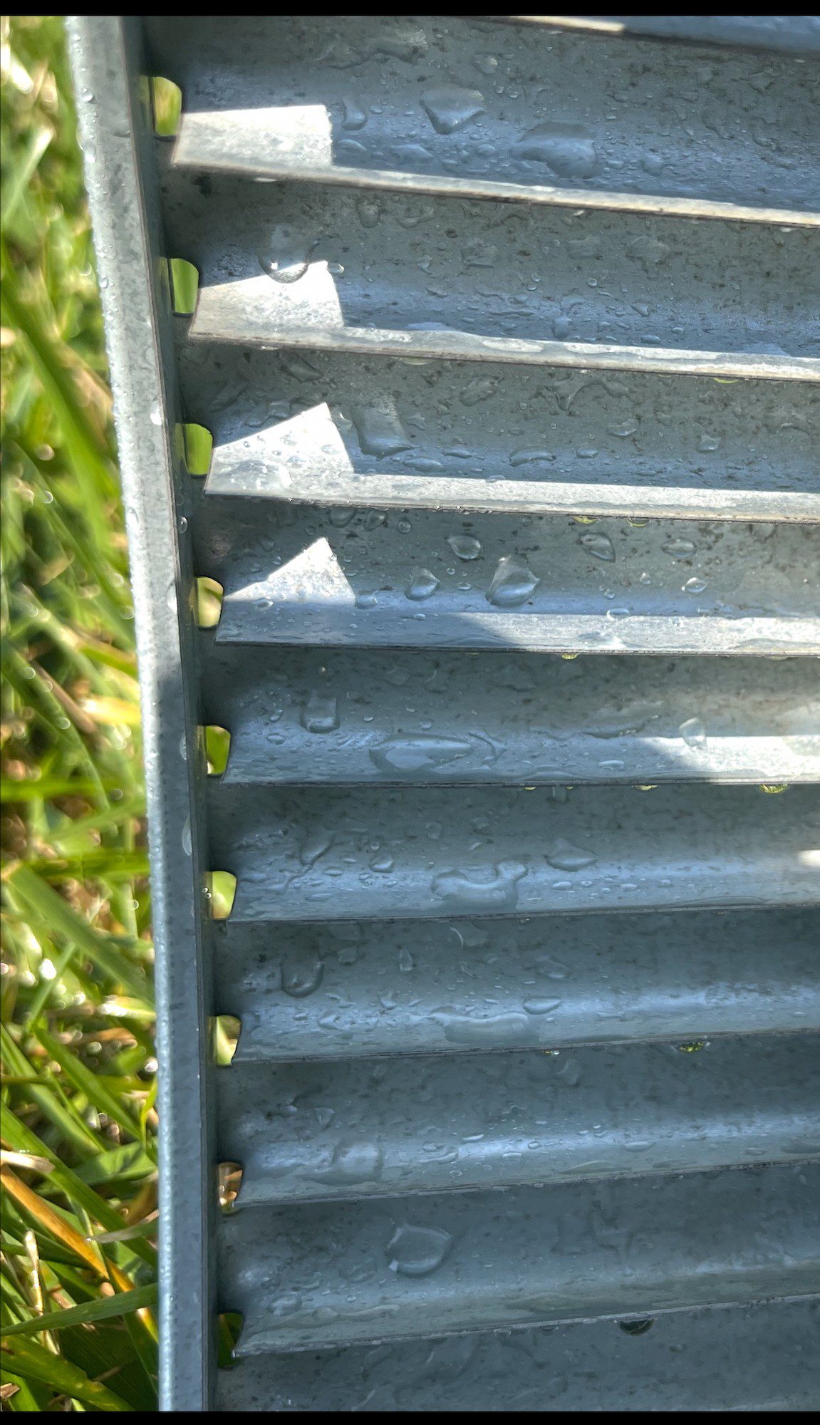 Close-up of a metal corrugated sheet with screws in an outdoor setting.
